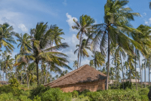 Screenshot 2025-12-02 102718