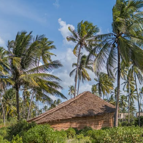 Screenshot 2025-12-02 102718